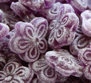 Chips de violeta 4