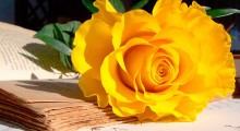 sant jordi